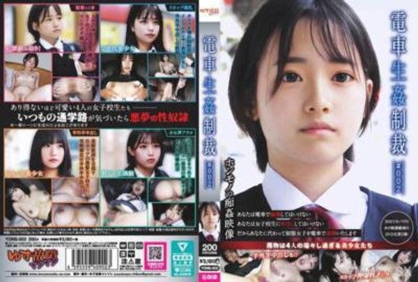 YDNS-002 電車生姦制裁 ＃002