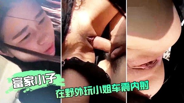 富.家小 .子在野..外玩小姐车.震内.射