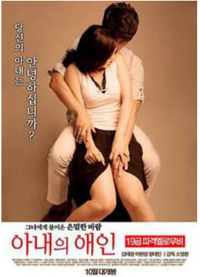 妻子的情人   2015