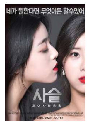 链-两个女人的诱惑   2017