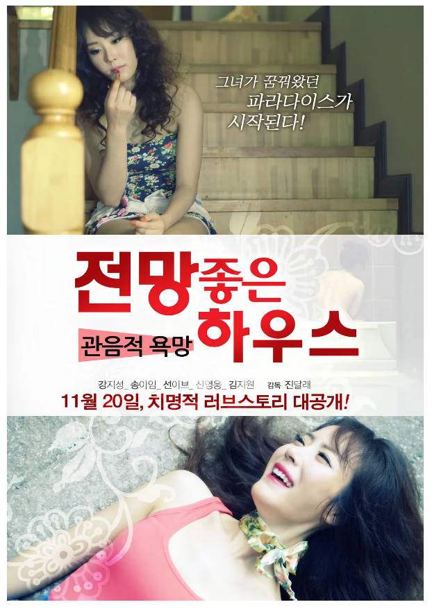 欲望之屋：偷窥的欲望  2013